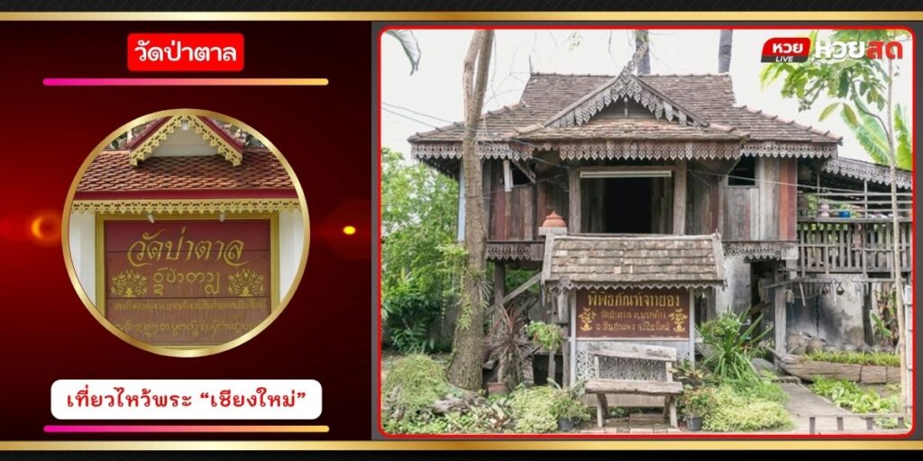 วัดป่าตาล