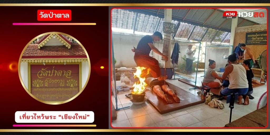 วัดป่าตาล